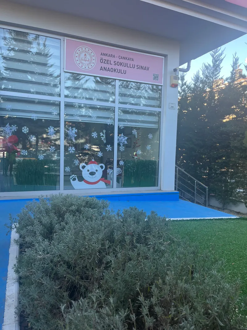 Sınav Koleji Sokullu Kampüsü fotoğrafı 7