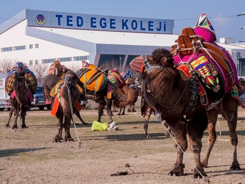TED Okulları Ege Kampüsü fotoğrafı 11