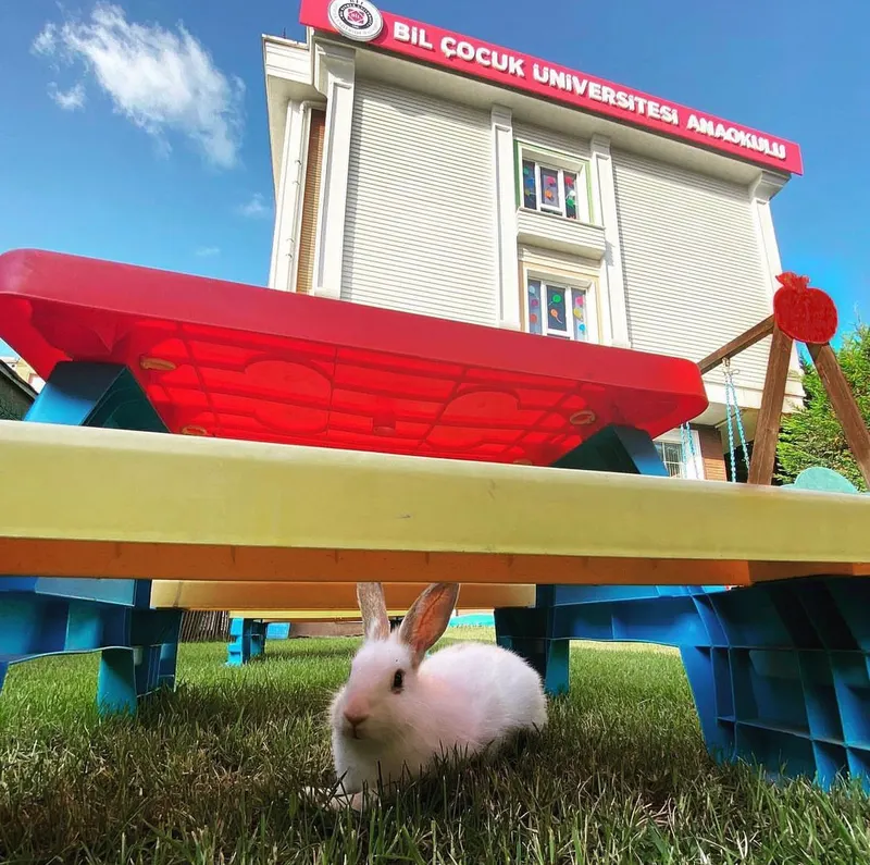 BİL Ümraniye Çocuk Üniversitesi Kampüsü fotoğrafı 2