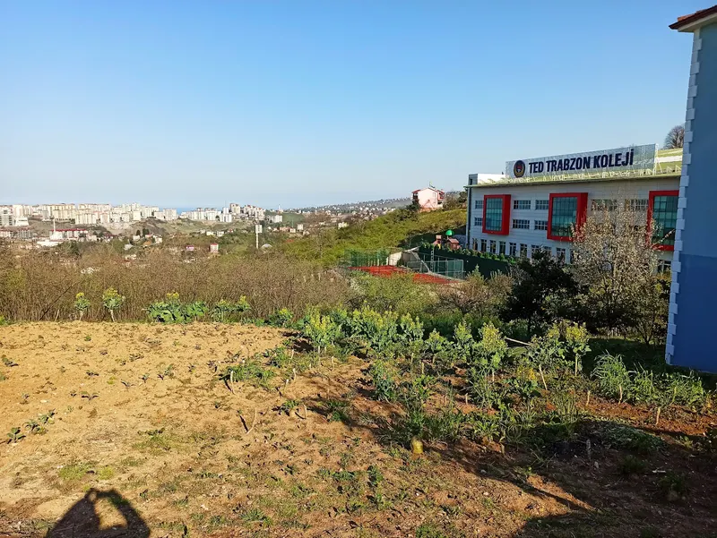 TED Okulları Trabzon Kampüsü fotoğrafı 4