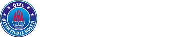 Özel Altınyıldız Koleji logosu
