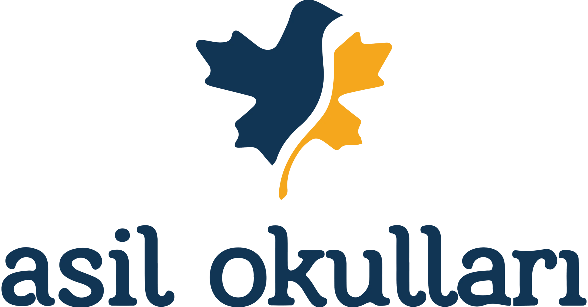 Asil Okulları logosu