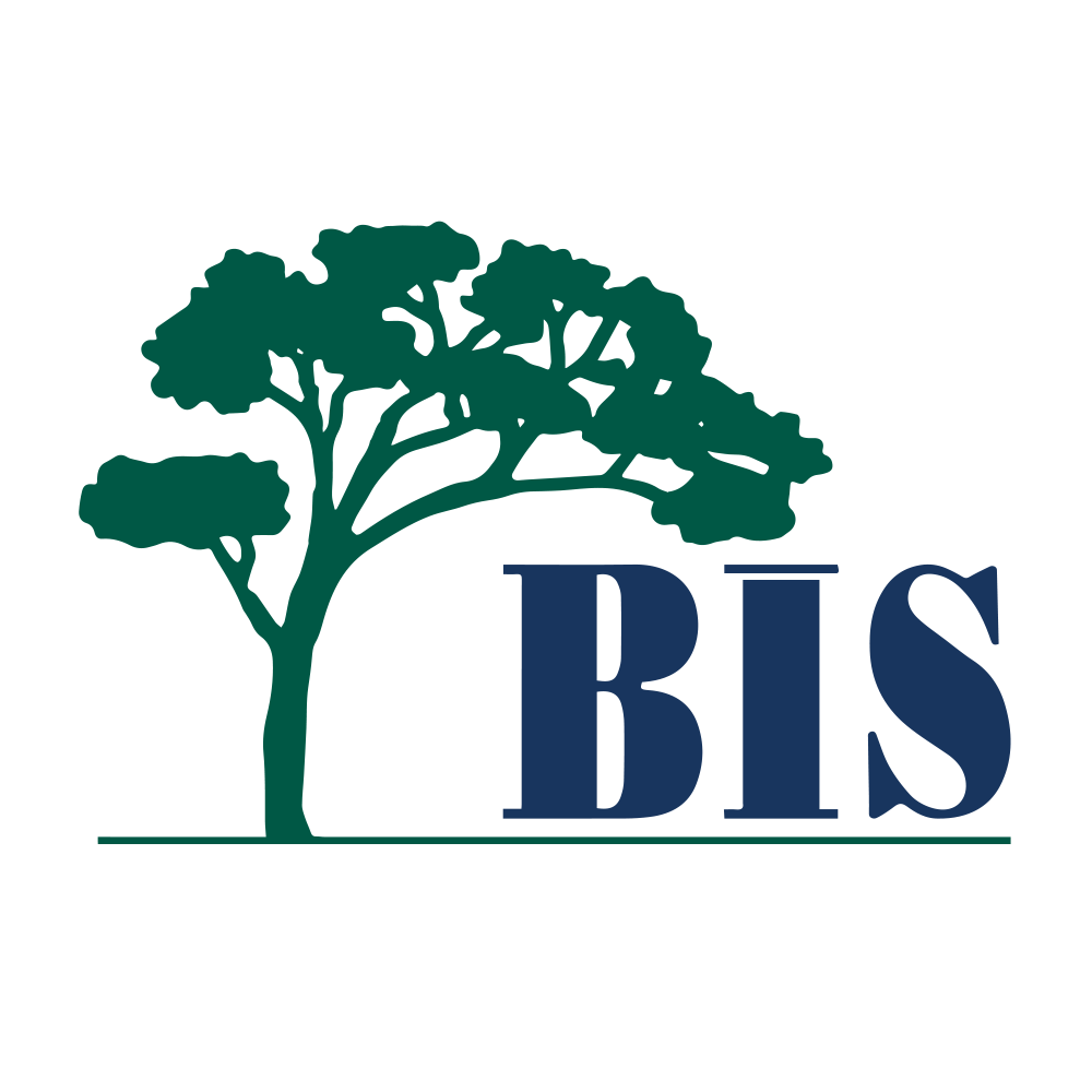BIS Okulları logosu
