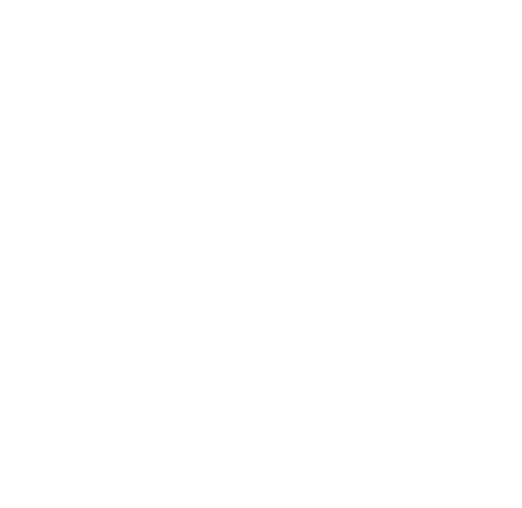 Üzeyir Naci Akdoğan Koleji logosu