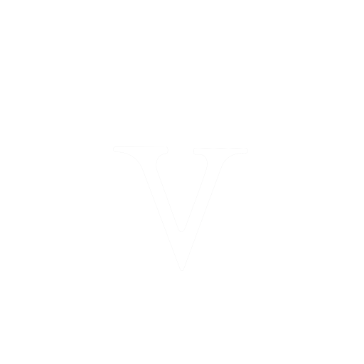 Vizyon Koleji logosu