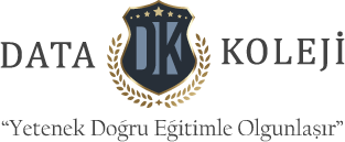 Data Koleji logosu