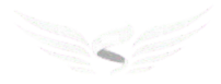 Özelsin Koleji logosu