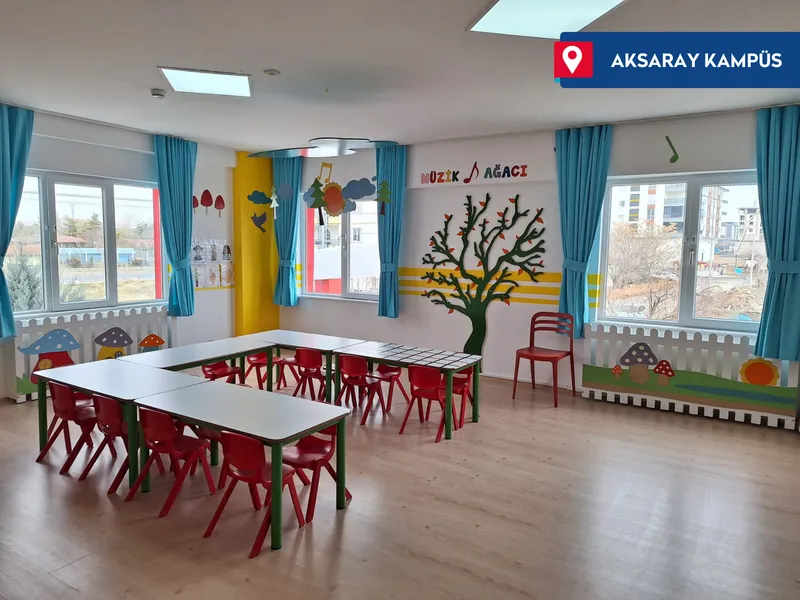 Safa Okulları Aksaray Kampüsü fotoğrafı 8