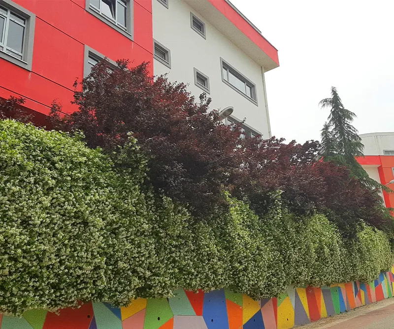 Sınav Koleji Demirci Kampüsü fotoğrafı 12