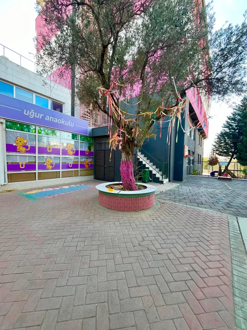 Uğur Okulları Aydın Kampüsü fotoğrafı 8